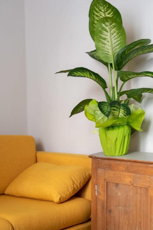 Apartamento San Zanobi Family In *